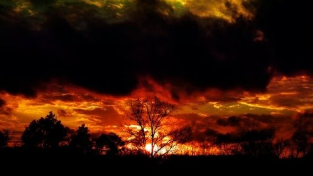 JUDGEMENT DAY - THE REPENTANCE WILL COME