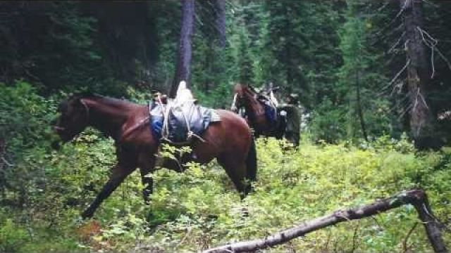 Building a Wilderness Survival Camp - Self Reliance