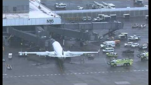 Alaska Airlines Returns to Seattle After Agent Trapped In Cargo Hold