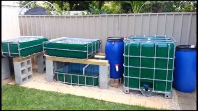 Aquaponics Systems - Easy Backyard Design & Latest Aquaponics Methods