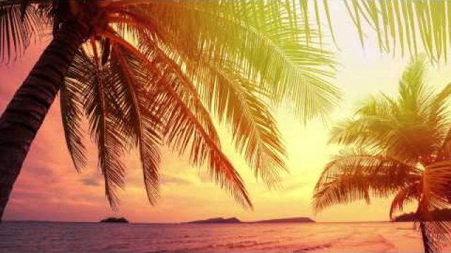 3 HOURS Relaxing Music | Beautiful Instrumental Guitar | for Relax, Dream, Meditation, Study