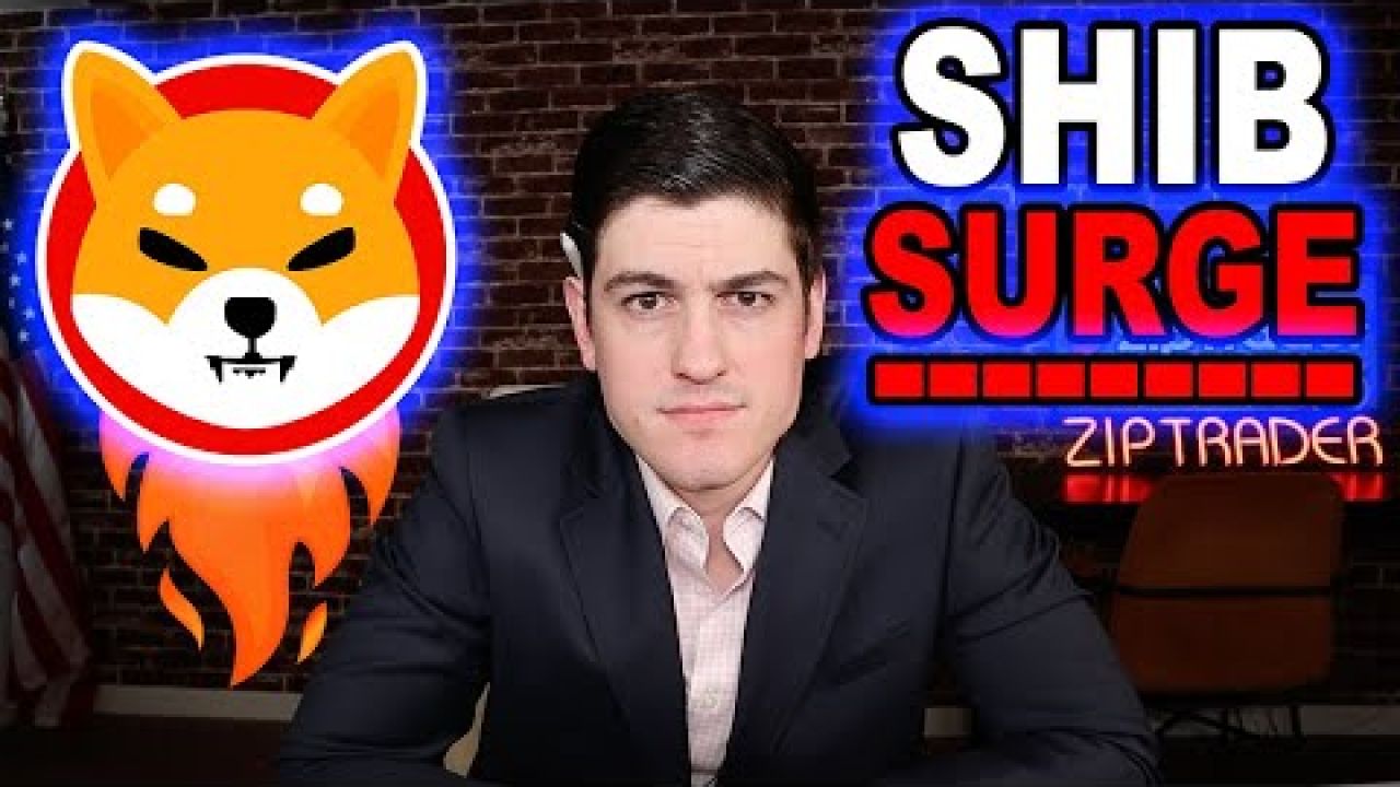 SHIBA INU: THIS IS COMING [ROUND 2?]