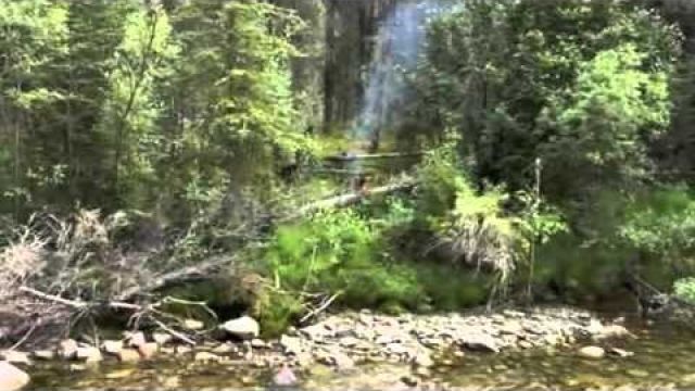 Alone in the wild - Full Season 1 [HD]