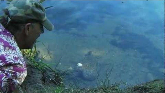 Survival Fishing by Hand