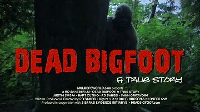 https://youtube.com/devicesupport