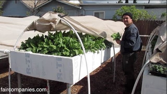 Backyard aquaponics as self-sustained farm in (sub)urban LA