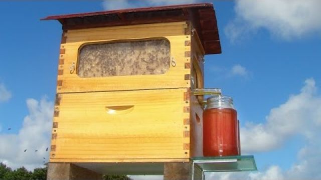 New Invention - Flow: Honey on Tap Directly From your Beehive