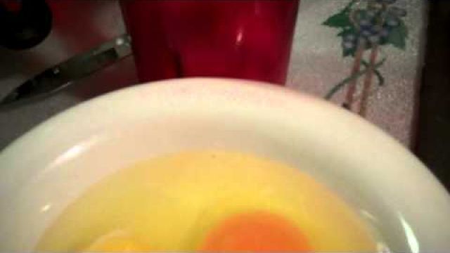 Comparing Store Bought Organic Eggs to Backyard grown Eggs
