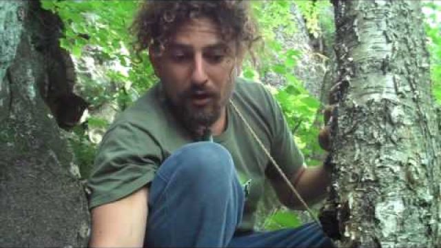 chaga hunter part1