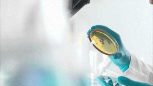 Safety Fears: Potentially Deadly Bacteria Released from Louisiana Research Lab