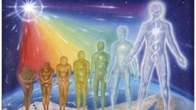 Consciousness and the 7 Root Races