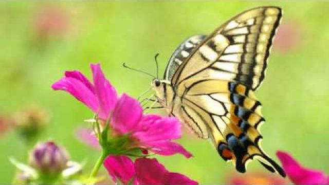 Creation Energies: You’re Prepping for the Role of a Lifetime - February 23, 2015