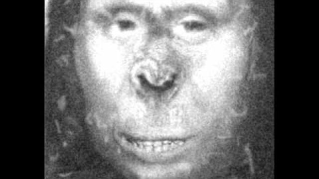 WILD! Professor Says DNA of Apewoman Was 'Not Human'